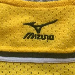 Mizuno Other Hanshin Tigers Official Fan Club Jersey Poshmark - Main Image